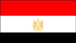 مصر انتقاد آمریکا از قانون وضعیت فوق العاده را رد می کند