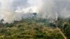 Hutan Amazon. Sebuah studi menunjukkan manusia telah mendegradasi atau menghancurkan sekitar dua pertiga hutan hujan tropis asli di dunia. (Foto: AFP)