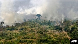 Hutan Amazon. Sebuah studi menunjukkan manusia telah mendegradasi atau menghancurkan sekitar dua pertiga hutan hujan tropis asli di dunia. (Foto: AFP)