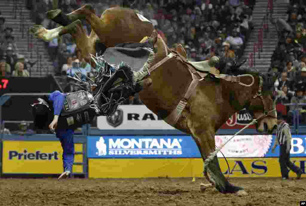 Ryder Wright, of Milford, Utah, is thrown off his horse while competing in a riding event during the seventh round of the National Finals Rodeo, Dec. 12, 2018, in Las Vegas, Nevada.