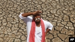 FILE - An Indian farmer looks skyward as he stands on a dried bed of a water body on the outskirts of Ahmadabad, India.