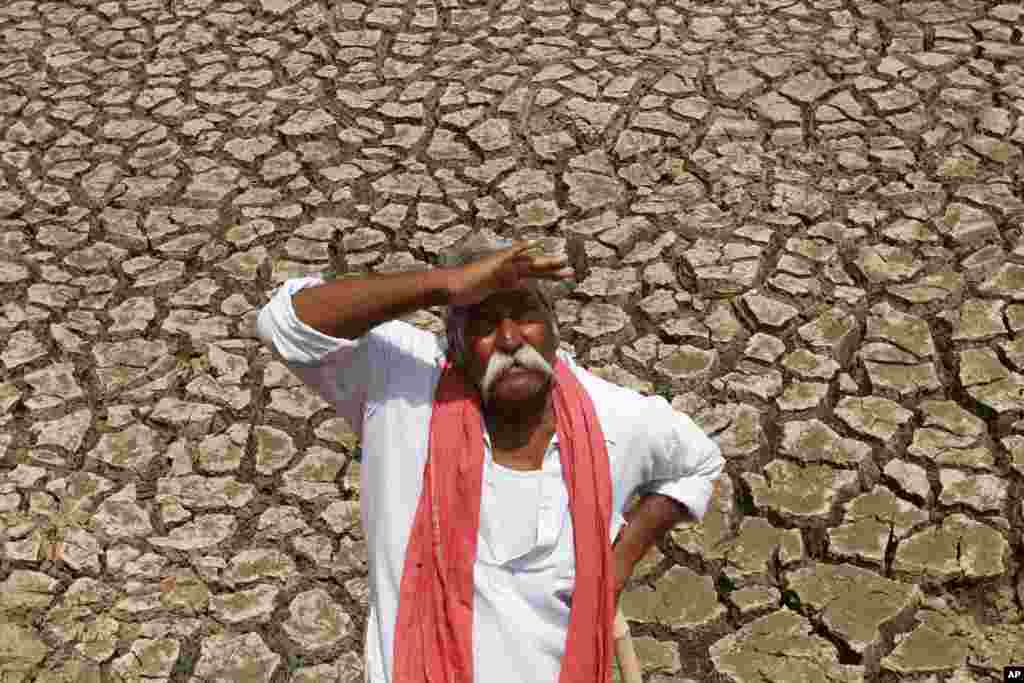 An Indian farmer looks at the sky as he stands on a dried bed of water on the outskirts of Ahmadabad.