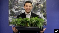 In this Dec. 29, 2017, photo, Khalil Moutawakkil, co-founder and CEO of KindPeoples, poses for a portrait with some marijuana plants in his dispensary in Santa Cruz, Calif.