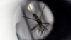 "Abuzz" Deteksi Jenis Nyamuk Berbahaya Lewat Suara Nyamuk
