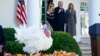 Праздничная традиция: помилование индейки в Белом доме 