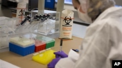 Một khoa học gia xét nghiệm các mẫu DNA tại một phòng thí nghiệm ở New York