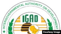 The Intergovernmental Authority on Development (IGAD) says peace talks for South Sudan are set to resume July 30, 2014 and run until August 10. 