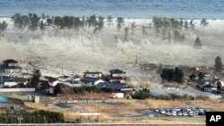 日本311大地震與海嘯