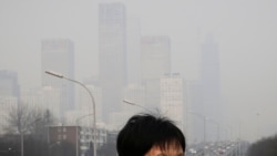 世卫组织：计划到2030年减少三分之二空气污染致死人数