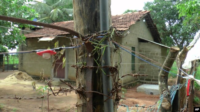 Illegally erected electric fence and traps set up to prevent wild elephants from entering human settlements are seen in Ashraf Nagar in Ampara district, about 210 kilometers (130 miles) east of the capital Colombo, Tuesday, Jan. 11, 2022. (AP Photo/Achala