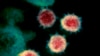 Koronavirus ispod mikroskopa, snimak Nacionalnih instituta za zdravlje