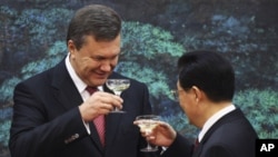 烏克蘭總統與胡錦濤祝酒。