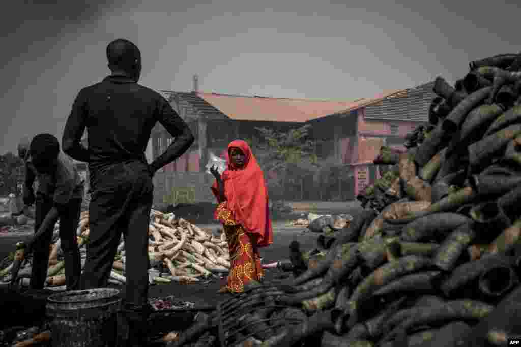A girl stands in front of cow horns at Kaduna Abatour meat market in North Kaduna, Nigeria.