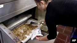 Genevieve Gladson Rainville turns over meal worms as she bakes them in an oven, Feb. 18, 2015, in San Francisco, California.