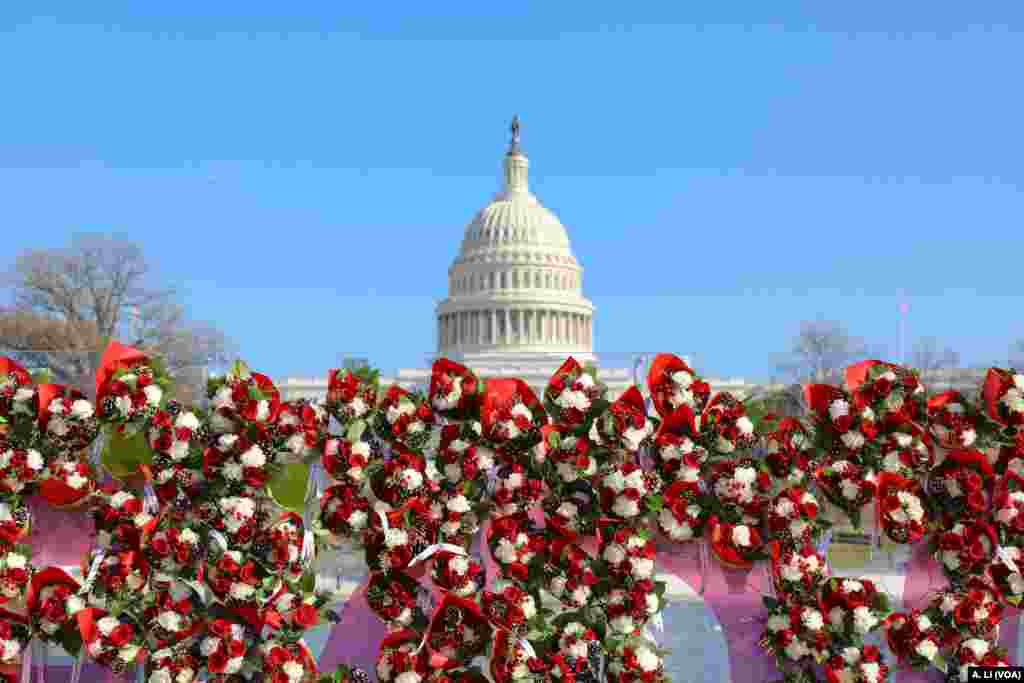 Teleflora&#39;s &quot;Wall of Love,&quot; a custom, 50-foot wide, 8-foot high floral wall, is located in front of the Capitol building reflecting pool in Washington, Nov. 29, 2017.