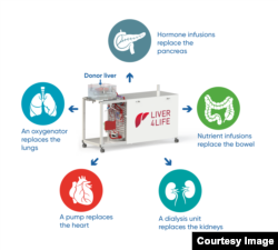 The perfusion machine replaces the functions of various organs in order to keep the donor liver alive outside of the body. (Image: University Hospital Zurich/beamue)