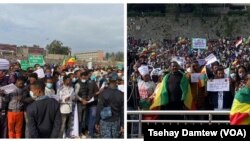 አብ ከተማ አዲስ አበባ ንሰራዊት ምክልኻል'ታ ሃገር ዝድግፍ ሰልፊ