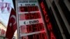 Turkish Currency Slump Spurs Political, Economic Fears