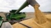 FILE -Soybeans are offloaded from a combine during the harvest in Brownsburg, Ind., Sept. 21, 2018. President Donald Trump announced new tariffs on Chinese goods, which could prompt China to retaliate on U.S. farm products.