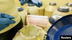 Seorang petugas memeriksa oocyte dan embrio (dalam tabung percobaan yang disegel) dalam tempat berisi nitrogen cair di ruang penyimpanan sebuah pusat reproduksi di Taiwan (Foto: dok). 