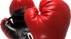 Sports Minister Vows to Revive Boxing in Zimbabwe