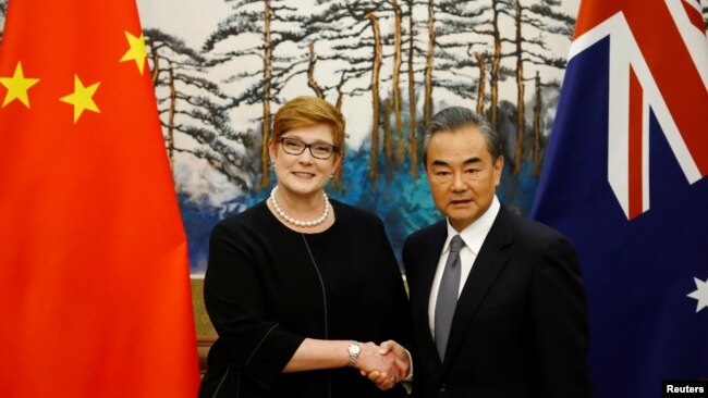 澳大利亚外长佩恩和中国外长王毅在北京钓鱼台国宾馆举行记者会时握手。（2018年11月8日）