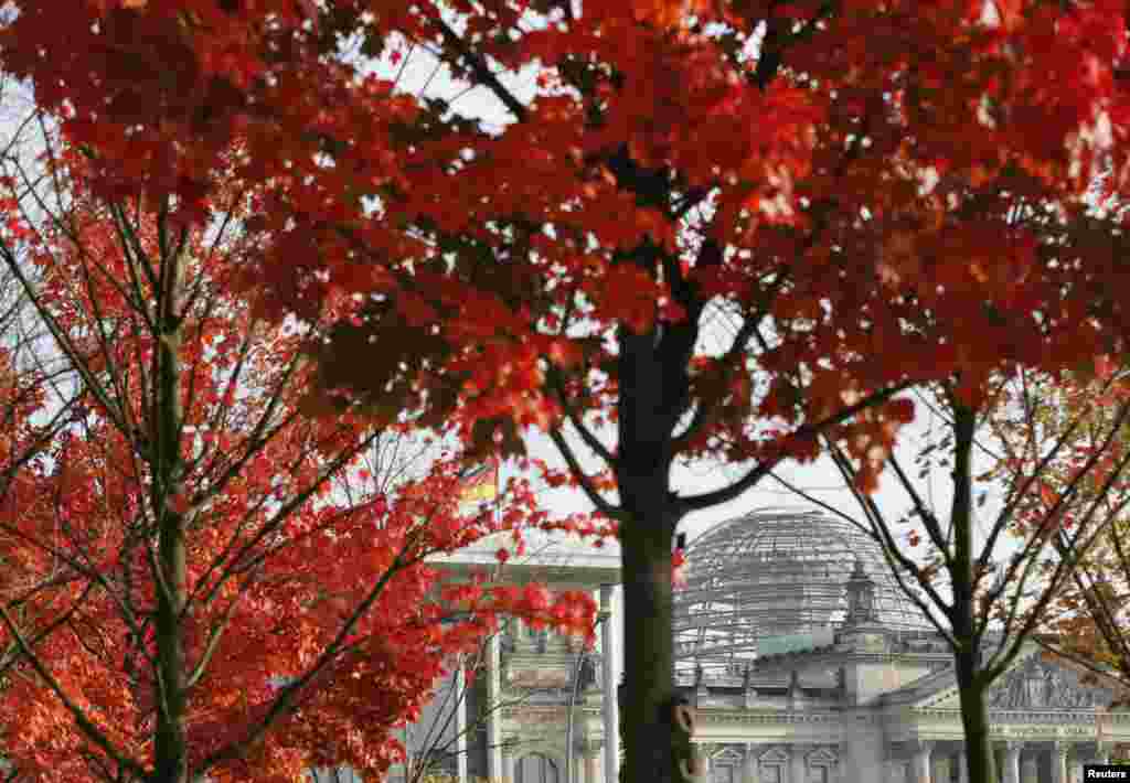 The Reichstag, German lower house of Parliament, is seen through autumnal trees in Berli, Germany. 