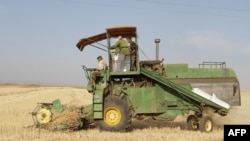 FILE - Syrian farmers collect crops in a field in Daraa, 100 kms south of Damascus, on June 5, 2010.
