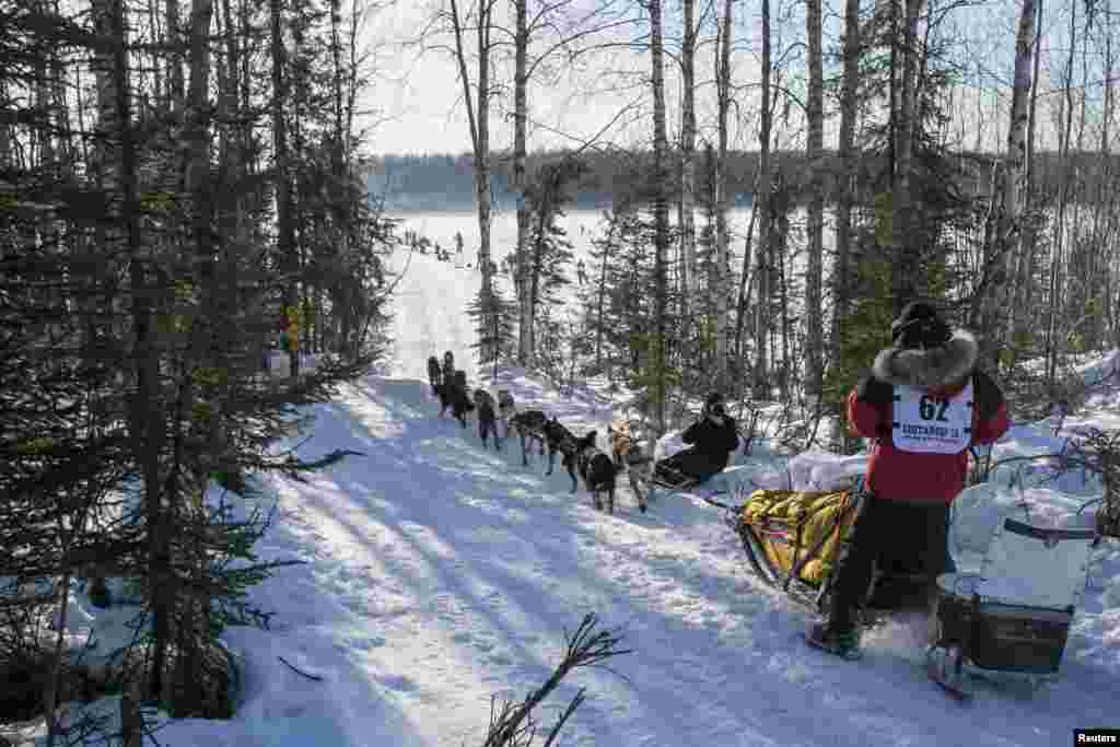 Musher Danny Seavey and team drop onto a lake on the way to Nome just after the official restart to the Iditarod dog sled race in Willow, Alaska, March 2, 2014. 