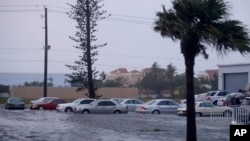 10일 허리케인 '어마'의 영향으로 폭우가 내린 미국 플로리다 주 네이플스에서 차들이 물에 잠겨있다.