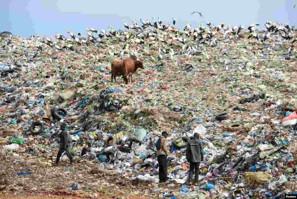 Refugees from Ghana and Guinea search for food at a garbage dump in Fnideq, Morocco, close to the Spanish enclave Ceuta, Aug. 21, 2018.