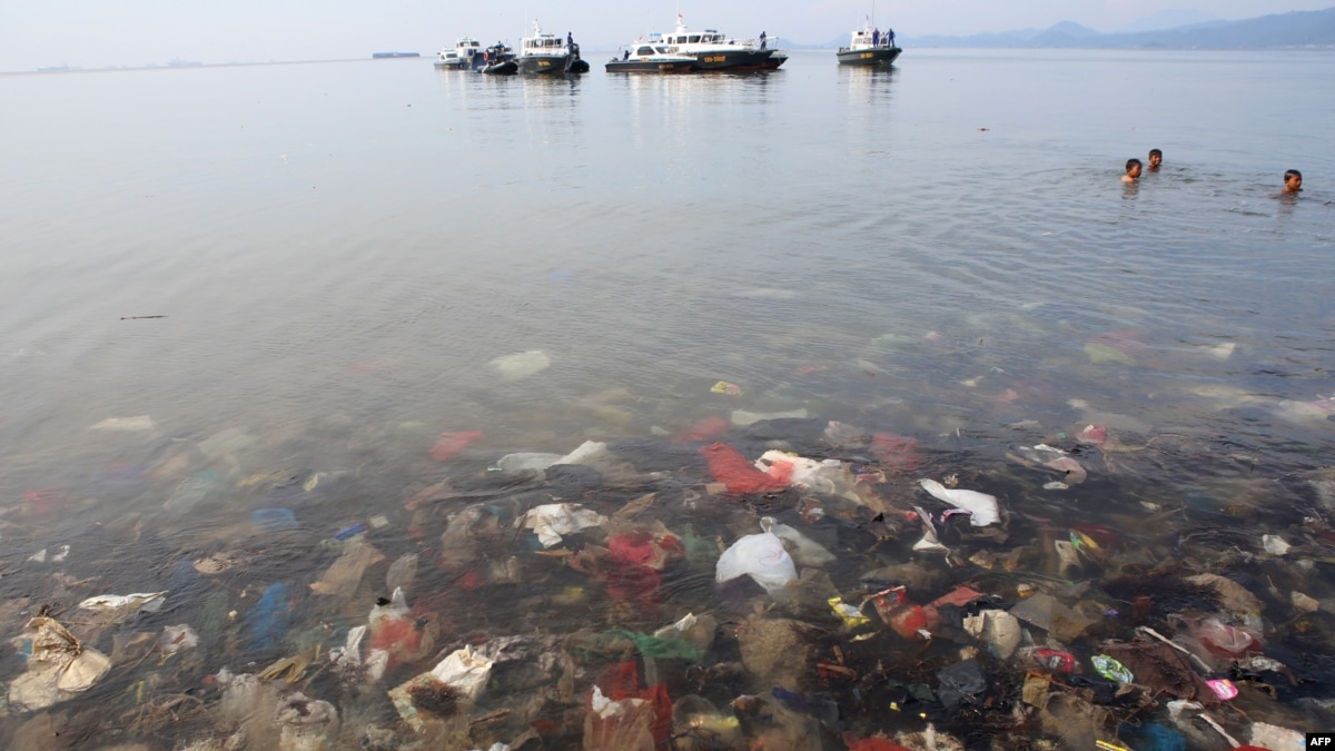 Plastik Ditemukan Dalam Perut Hewan Di Palung Laut Terdalam
