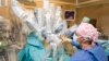 New Crop of Robots to Vie for Space in Operating Room