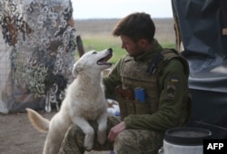 FILE - A Ukrainian serviceman pets a stray dog on the front line with Russia-backed separatists near town of Krasnogorivka, Donetsk region, April 23, 2021.