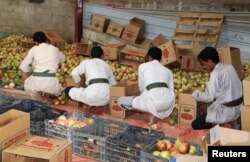 FILE - Workers pack pomegranates for export in Saada, Yemen, Sept. 25, 2018.