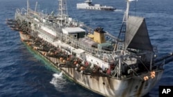 In this July 2021 photo provided by Sea Shepherd, the Ocean Warrior, background, circles a Chinese-flagged vessel on the high seas off the west coast of South America.