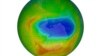 This image made available by NASA shows a map of a hole in the ozone layer over Antarctica on Sunday, Oct. 20, 2019. The purple and blue colors indicate the least amount of ozone, and the yellows and reds show the most. 
