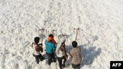 FILE - Indian laborers work in the cotton processing and packaging industry in Kadi, near Ahmedabad. The U.S. aims to deepen business partnerships with India, including in its high-tech sector.