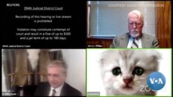 Au Texas, un avocat comparait par visioconférence avec un filtre de chat