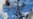US Subsidizes Brazilian Cotton Farmers in Latest Trade Twist