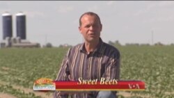 Buenos Días América