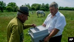 Antal Matyus, izquierda, vota mientras el funcionario electoral Bela Deak sostiene una urna móvil durante las elecciones para el Parlamento Europeo en su granja en Szentkiraly, Hungría, el domingo 26 de mayo de 2019. (Sandor Ujvari/MTI vía AP)