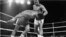 Mohamed Ali regarde s'effondrer le champion du monde George Foreman au huitième round du combat pour le titre de champion du monde WBA / WBC à Kinshasa, Zaïre, 30 octobre 1974. Foreman s’est fait compter par l'arbitre et Ali a repris la couronne des poids lourds du monde par KO dans ce combat surnommé «Rumble in the Jungle». (AP Photo)