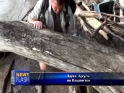 Палеонтологијата како хоби