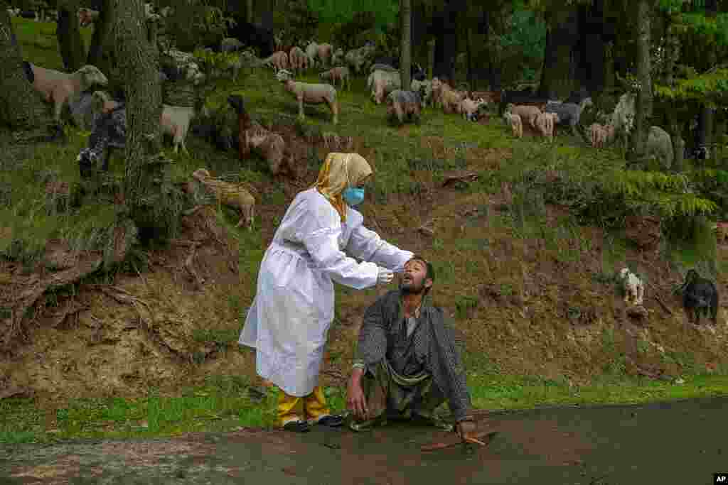 A Kashmiri doctor in protective suit takes a nasal swab sample of a nomad to test for COVID-19 in Budgam southwest of Srinagar, Indian-controlled Kashmir.