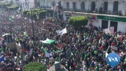 Mobilisation d'ampleur à Alger pour la 6ème semaine consécutive