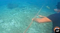 This undated photo provided on Sept. 26, 2023, by Philippine Coast Guard shows a diver cutting rope tied to a floating barrier in the Scarborough Shoal. The Philippine coast guard said Sept. 25, it complied with a presidential order to remove a floating barrier placed by China.
