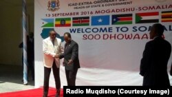 Madaxweyne Xasan iyo Ra'iisul Wasaare Hailemariam
