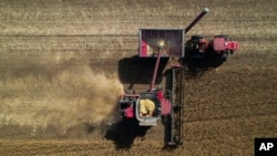FILE - A combine, bottom, unloads grain into a wagon, top, while harvesting soybeans, Oct. 10, 2023, at a farm near Allerton, Illinois.