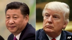 ARCHIVO - El presidente de Estados Unidos, Donald Trump, a la derecha, en una reunión en la Casa Blanca, el 31 de marzo de 2017, y el presidente de China, Xi Jinping, en una reunión en el Gran Salón del Pueblo en Beijing, el 1 de diciembre de 2016.